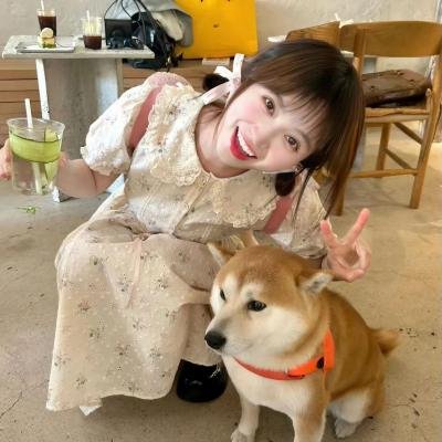 追讨者